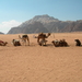 wadi rum 10