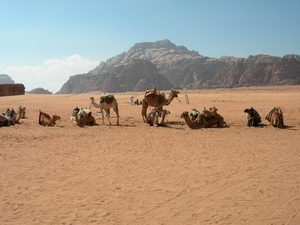 wadi rum 10