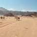 wadi rum 13