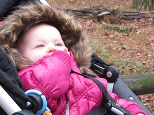 center parcs 553