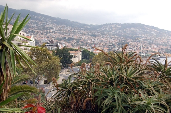 137 Funchal