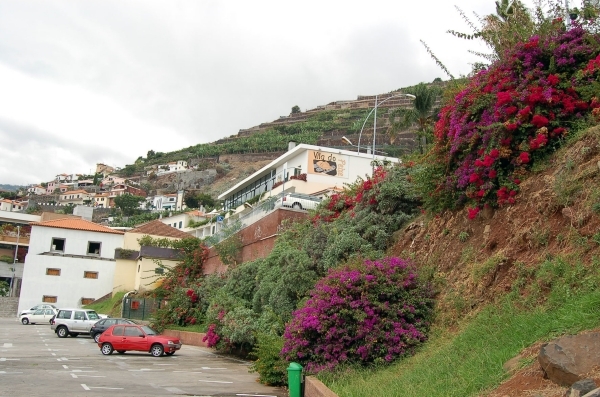 657 Camara de Lobos