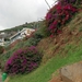 658 Camara de Lobos