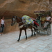 Petra 9