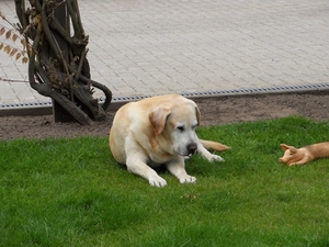 verdiende rust na wandeling