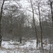 Grote Nete 009