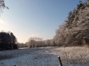 Grote Netevallei Westerlo