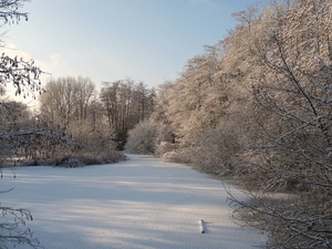 Grote Nete vallei Westerlo