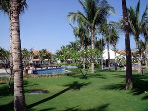 DSCF0656
