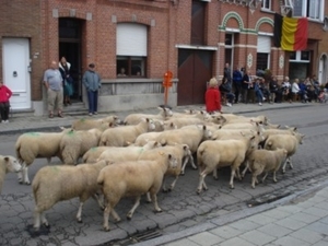heist 1000 jaar 144