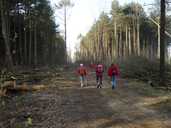 10.04.18.ZONNEBEKE .DREVETROTTERS