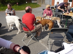 10.04.18.ZONNEBEKE .DE HONDEN ZIJN ER OOK