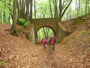 10.05.02.HUIZINGEN .IN HET BEGIJNENBOS