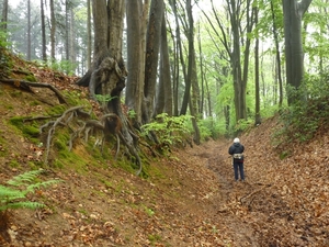 10.05.02.HUIZINGEN .MODDERIG