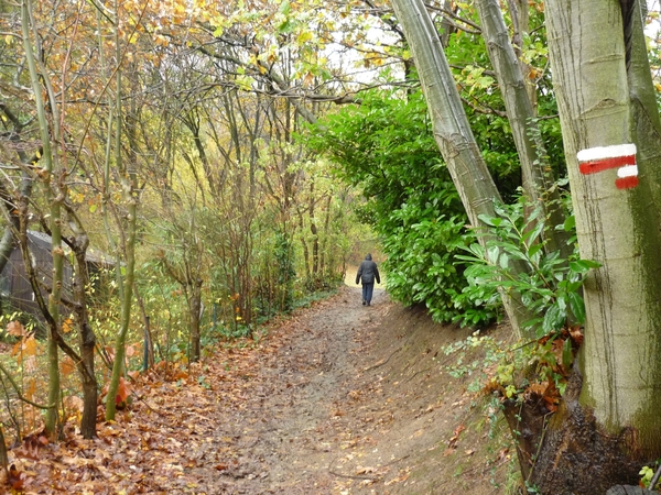 10.11.14.KESSEL-LO.GR LINDEBOS