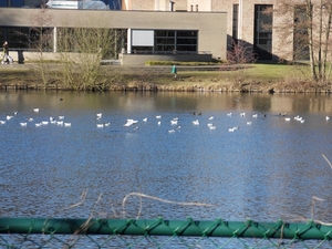 wandeling Herentals 002