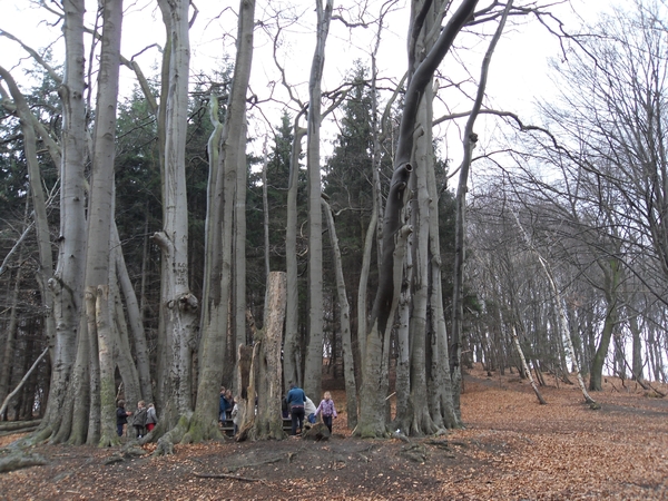 wandeling Lubbeek 012