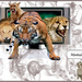 wild life on TV