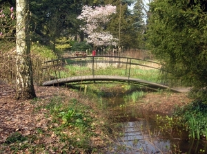 7.04.07 Wandeling Bokrijk03