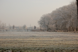 DSC_8886