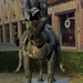 Ruiter_2