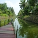 Dans les backwaters, Kerala