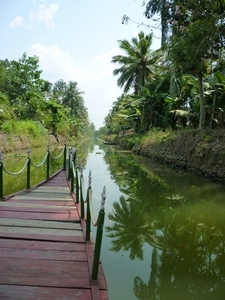 Dans les backwaters, Kerala