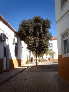 IMAG0902