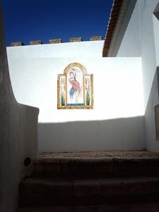 IMAG0903