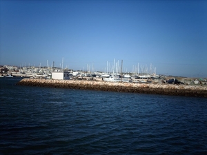 IMAG0911