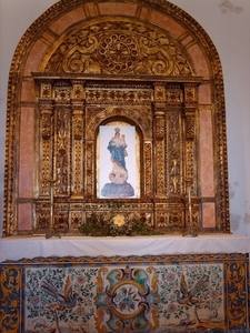 IMAG0937