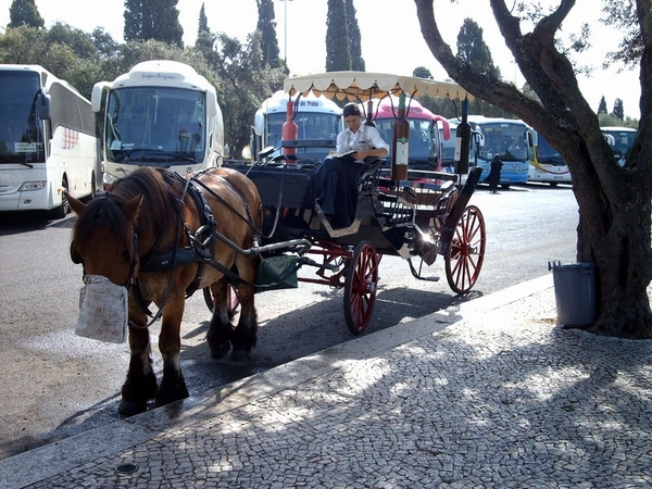 IMAG1173