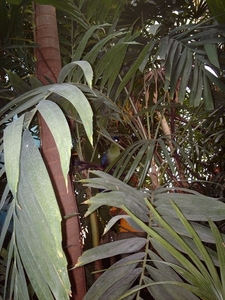 IMAG1212