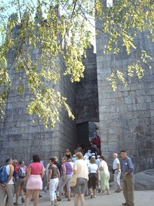 IMAG1516