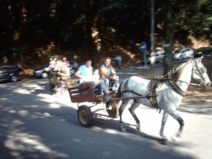 IMAG1574