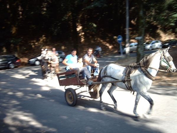 IMAG1574