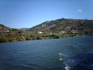 IMAG1642
