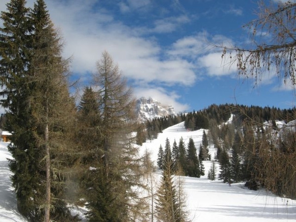 20100217 168 Civetta