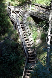 b40  Vorderkäserklamm