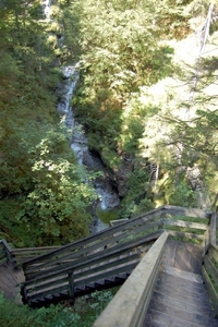 b46  Vorderkäserklamm