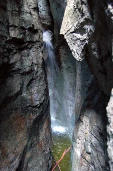 b54  Vorderkäserklamm