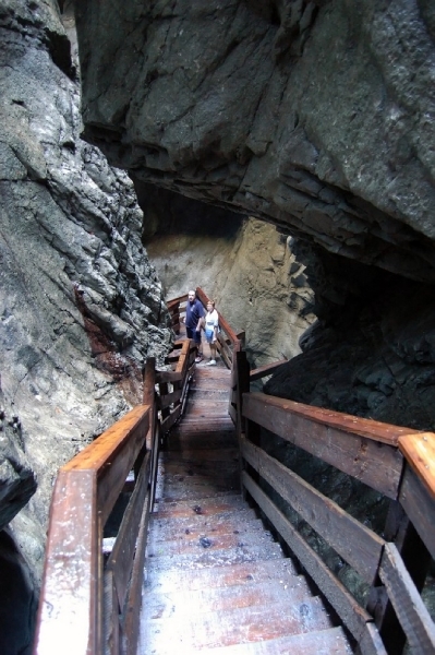 b55  Vorderkäserklamm