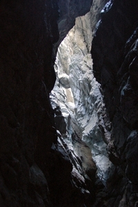 b56  Vorderkäserklamm