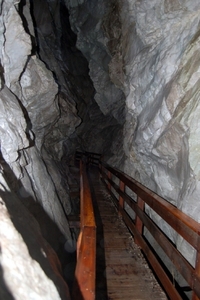 b58  Vorderkäserklamm