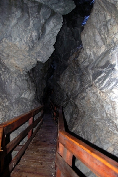 b60  Vorderkäserklamm