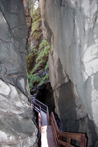 b64  Vorderkäserklamm