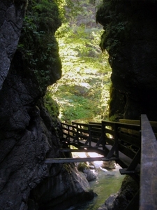 d221   Seisenbergklamm