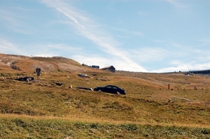 E26  Grossglockner Hochalpenstrasse