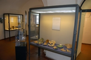 F45 archeologische zaal -  Kufstein kasteel