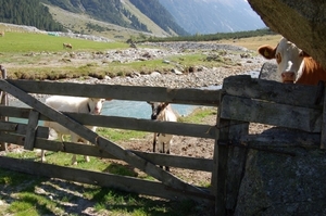 H68   wandeling naar Bauernhaus 1651 m